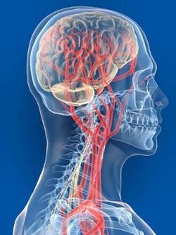 O abastecemento de sangue prexudicado ao cerebro é outra das causas da presión arterial alta